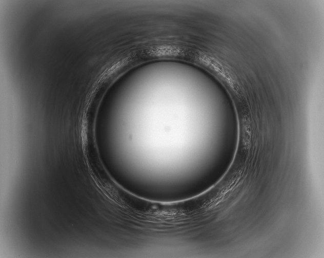 X0000097860631200803211255