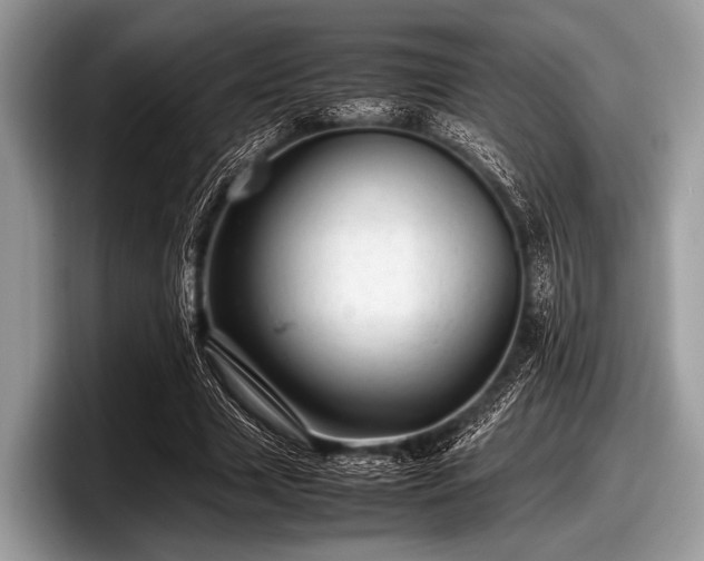 X0000097860633200803211255