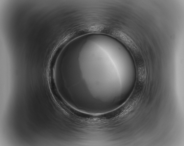 X0000097860634200803211255