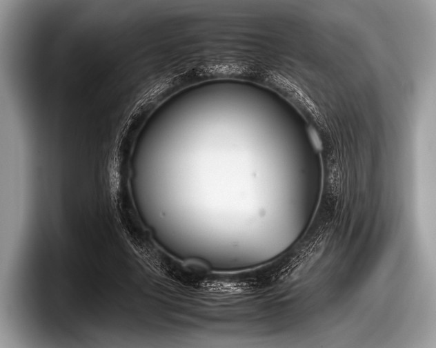 X0000097860635200803211255