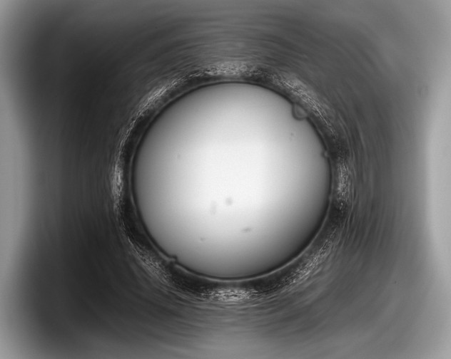 X0000097860636200803211255