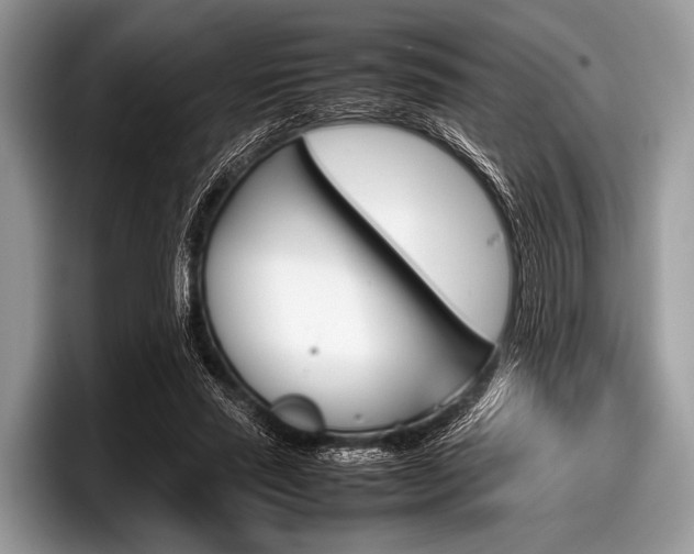 X0000097860637200803211255