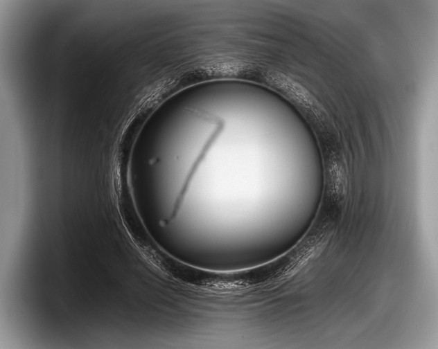 X0000097860638200803211255