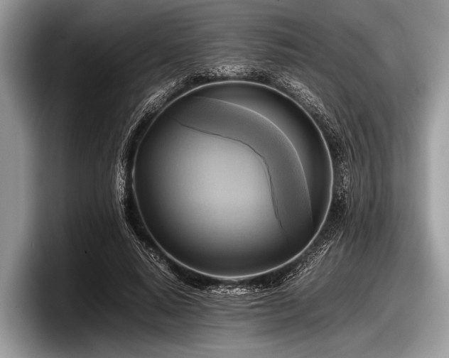 X0000097860640200803211255