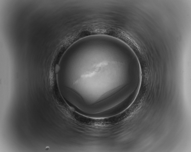 X0000097860641200803211255