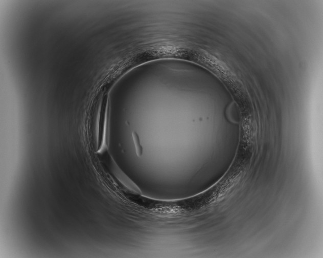 X0000097860642200803211255