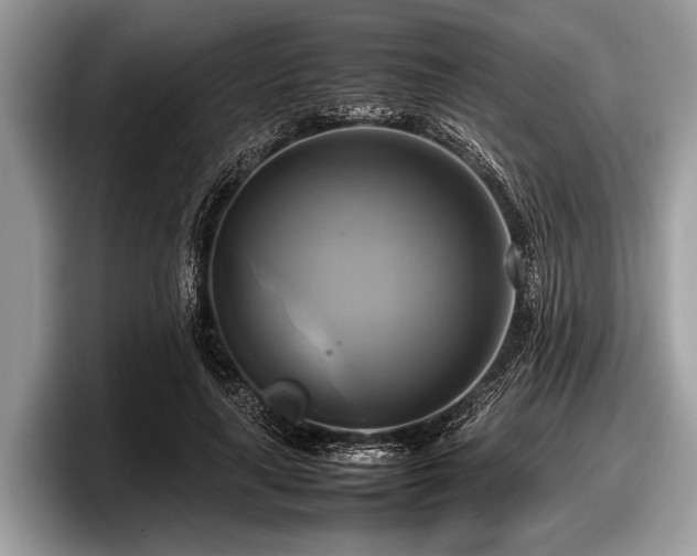 X0000097860643200803211255