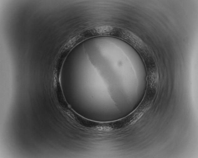 X0000097860644200803211255