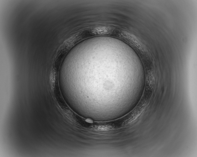 X0000097860645200803211255