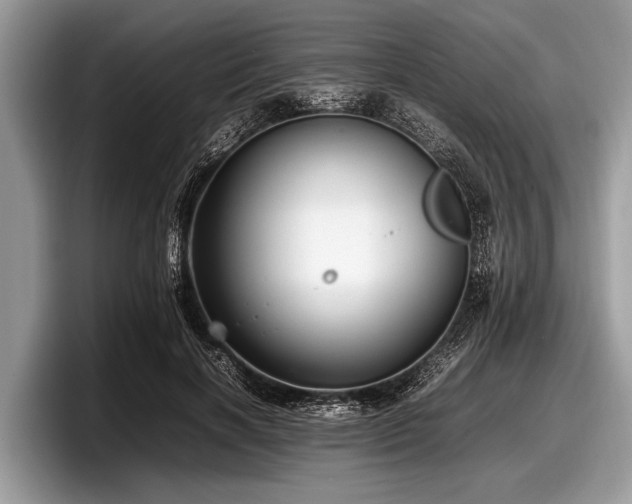 X0000097860646200803211255