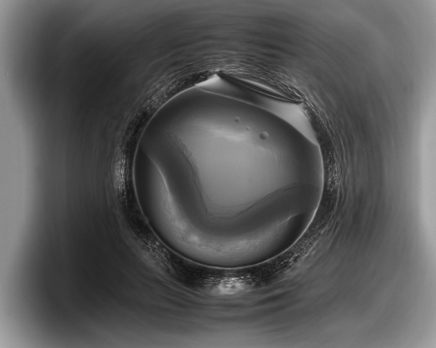 X0000097860647200803211255