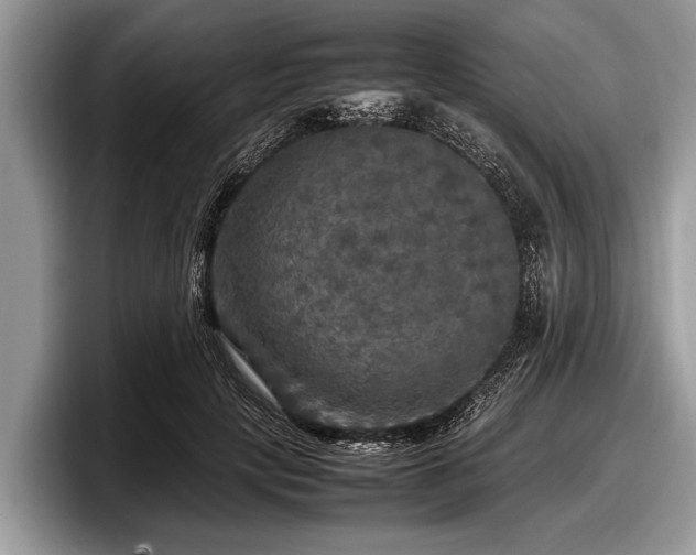 X0000097860649200803211255