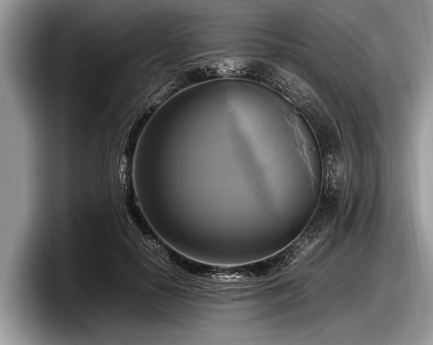 X0000097860650200803211255