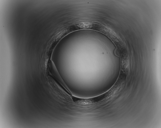 X0000097860652200803211255