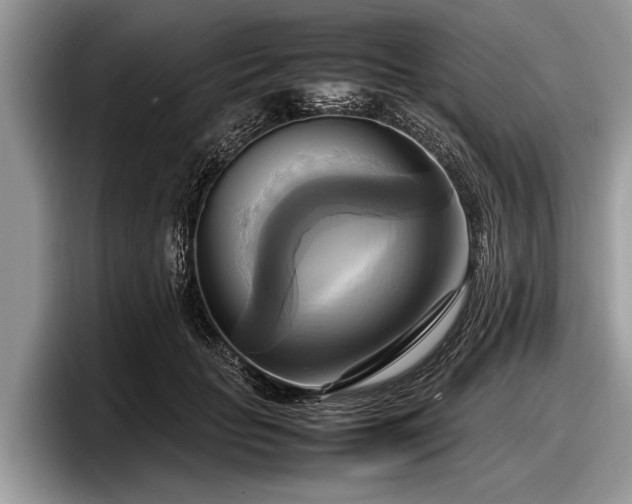 X0000097860653200803211255