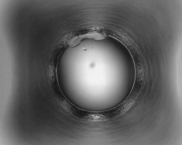 X0000097860654200803211255