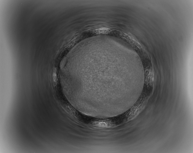 X0000097860655200803211255