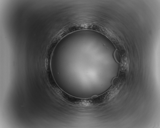 X0000097860656200803211255