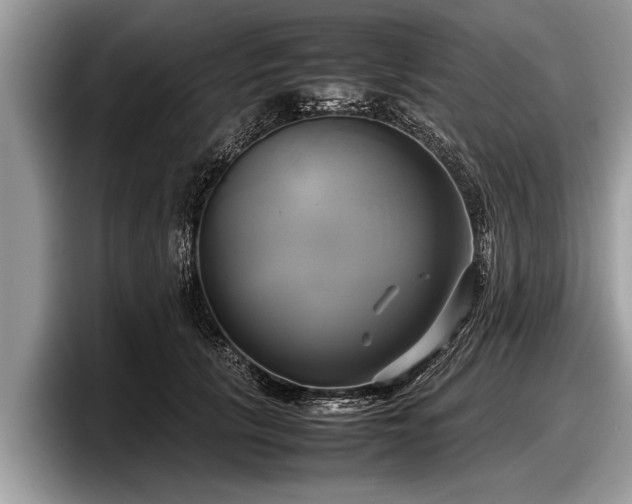 X0000097860657200803211255