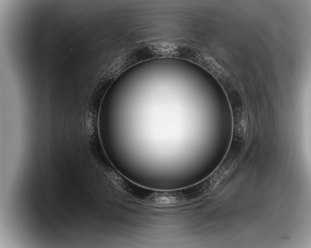 X0000097860658200803211255