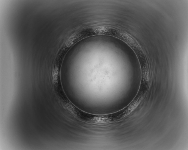 X0000097860660200803211255