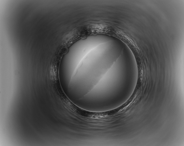 X0000097860661200803211255