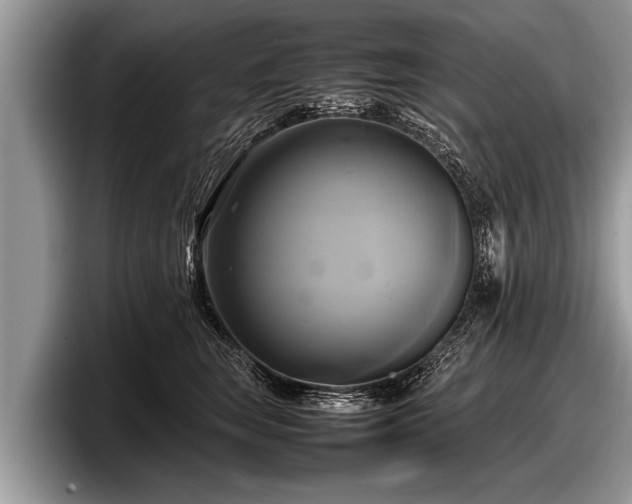 X0000097860663200803211255