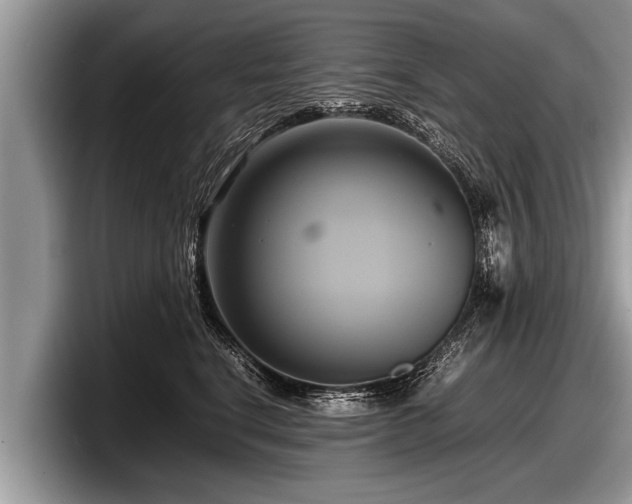 X0000097860664200803211255