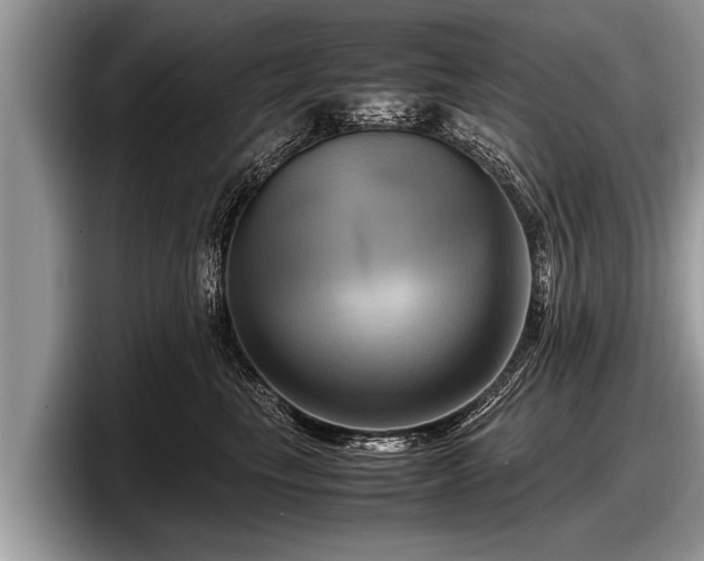 X0000097860665200803211255