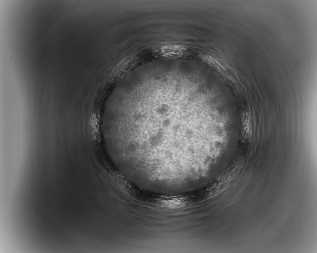 X0000097860667200803211255