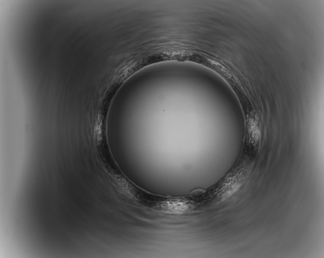 X0000097860668200803211255