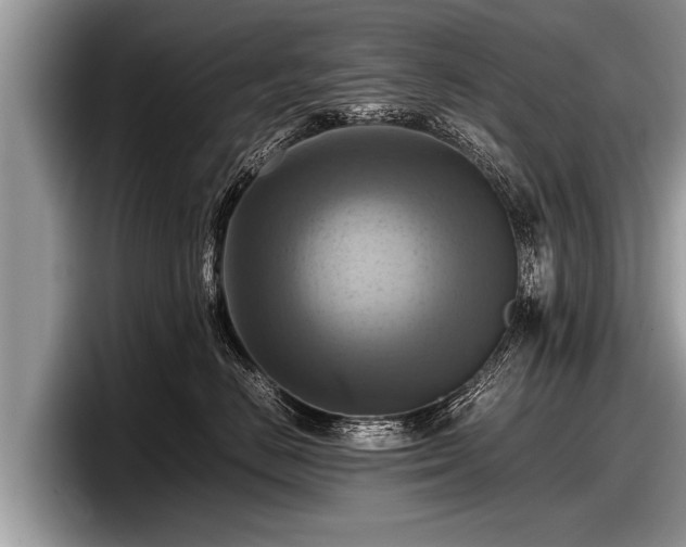 X0000097860670200803211255