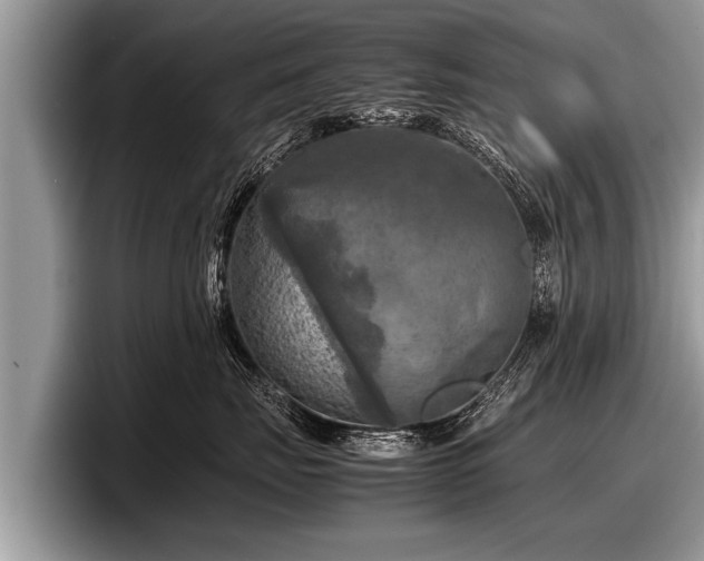 X0000097860671200803211255