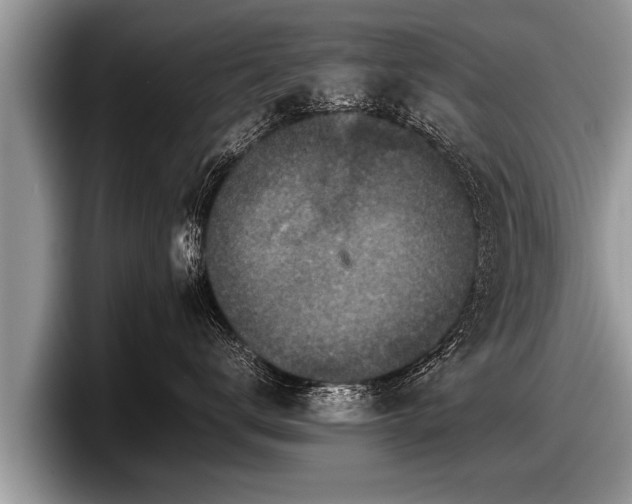 X0000097860672200803211255