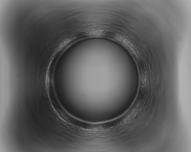 X0000097860674200803211255