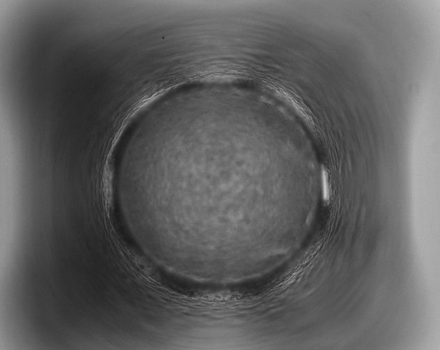 X0000097860675200803211255