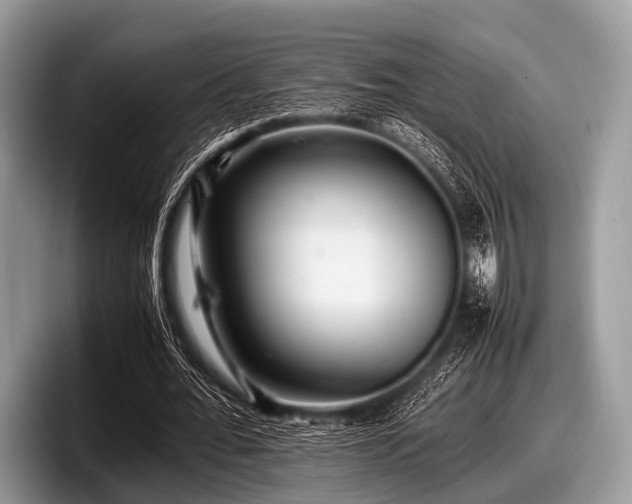 X0000097860676200803211255