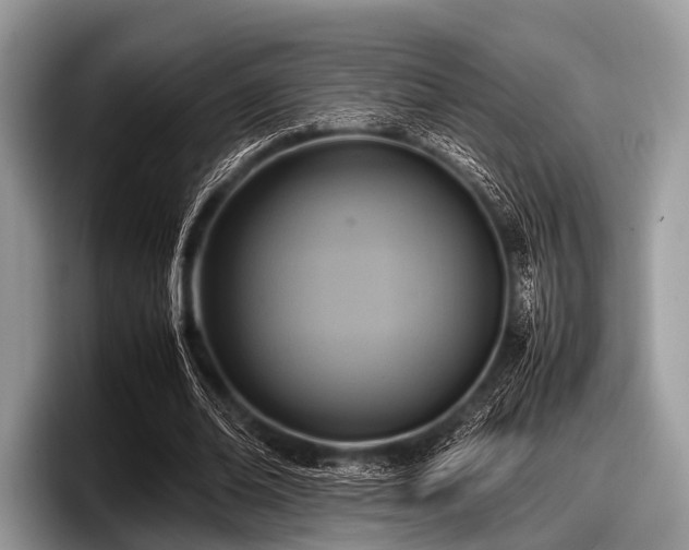 X0000097860678200803211255