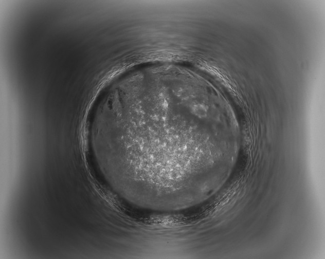 X0000097860679200803211255