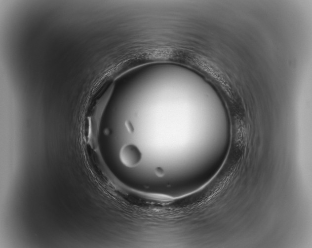 X0000097860681200803211255