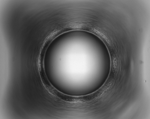 X0000097860682200803211255