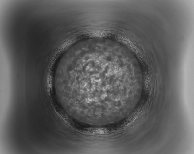 X0000097860683200803211255