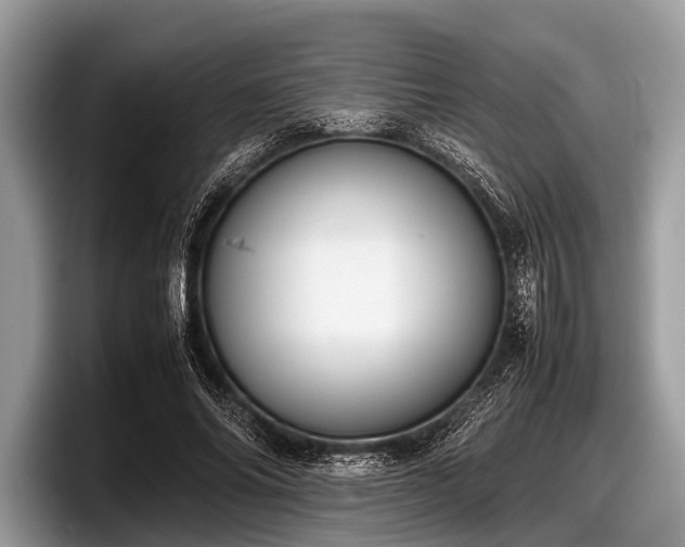 X0000097860686200803211255