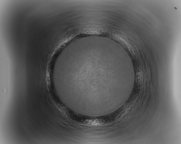 X0000097860688200803211254