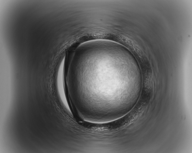 X0000097860689200803211254