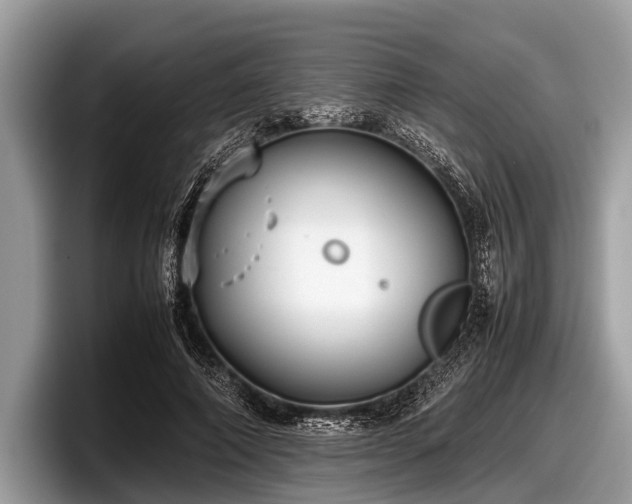 X0000097860690200803211254