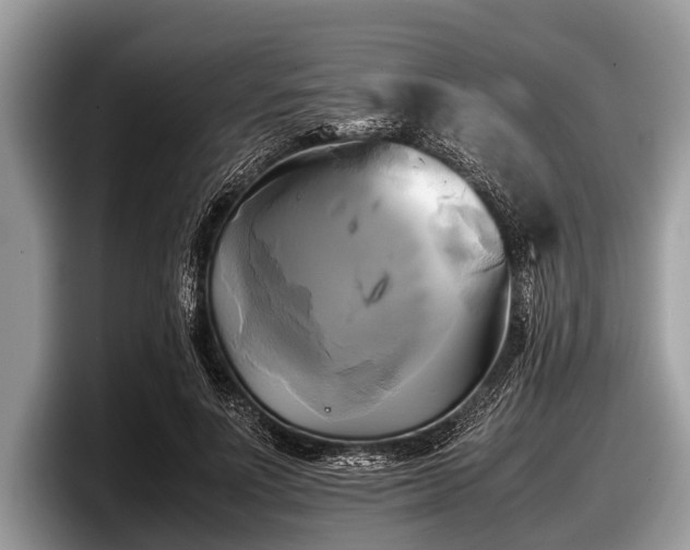 X0000097860691200803211254