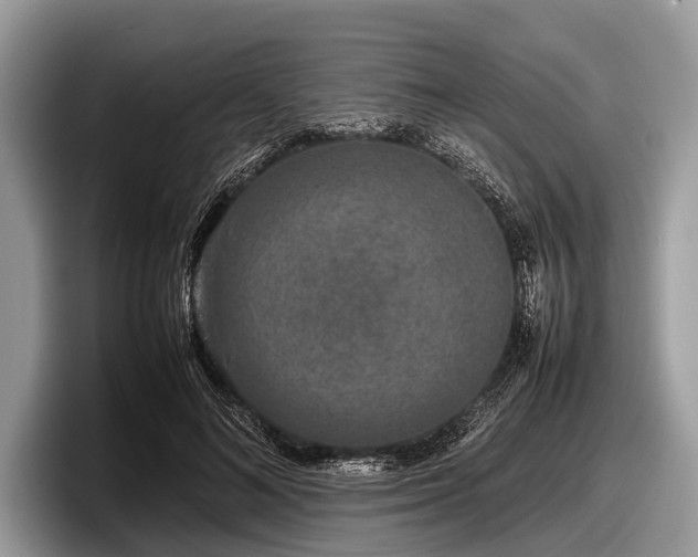 X0000097860692200803211254