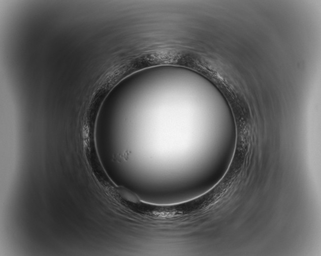 X0000097860693200803211254