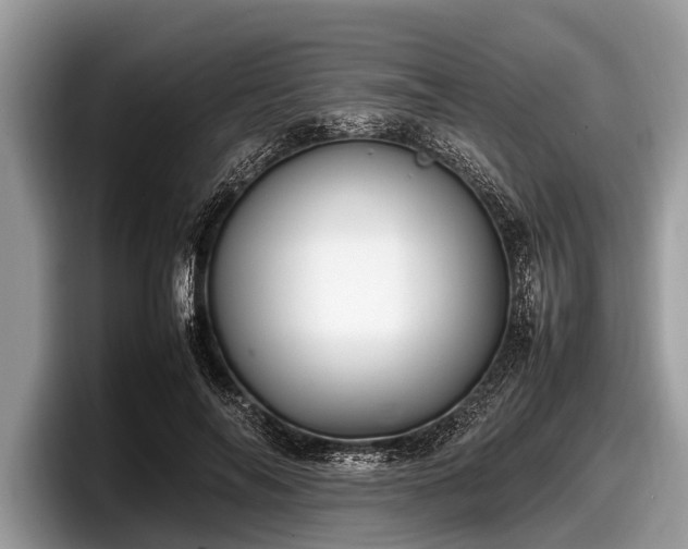 X0000097860694200803211254